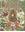  Trees, Shrubs and Woody Vines of East Texas. 3rd ed. 2012. 439 line- figs. 246 p. gr8vo. Paper bd.