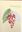  Wilde Früchte / Wild Fruits. 2012. illus. 317 S. 4to. Hardcover.