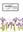 Wild Flowers of Newfoundland and Labrador. 2008. illus. VIII, 289 p. gr8vo. Plastic cover.