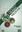  Scientific Basis of Herbal Medicine. 2013. XVII, 258 p. gr8vo. Hardcover.