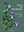 Flora of Samothraki. 2014. approx. 260 col. photographs. 224 p. Hardcover. - In English.