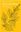  Flowering Plants: Asteraceae 1. 2014. (Illustrated Flora of Illinois). illus. 261 p. Paper bd. 