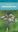 Veldgids Nederlandse Flora - planten determineren. 2018.. illus. 480 p. -In Dutch.
