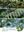 A Guide to the Common Epiphytes and Mistletoes of Singapore. 2015. Many col. potogr. XIV, 276 p. Paper bd.