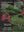 The Terrestrial Protected Areas of Madagascar. Their History, Description, and Biota. 3 volumes. 2019. illus. 1716 p.gr8vo. Hardcover. Bilingual (English / French)