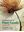 Introduction to Plant Fossils. 2nd rev. ed. 2019. 202 (17 col.) figs. IX, 246 p.. Paper bd.