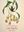 Extraordinary Orchids. 2020. illus. (col.) 160 p. 4to. Hardcover.