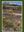 Flora of the Granite Belt. 2018. illus. (col.). X, 550 p. Paper bd.