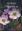 My World of Hepaticas. 2022. 682 col. photogr. ol. distrib.maps for countries. VIII,293 p. 4to. Hardcover.
