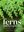 Identification Guide to the Ferns and Lycophytes of Aotearoa New Zealand. 2024. col. photogr. 260 p. gr8vo. Softcover.