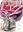 De l'Eglantine à la Rose. 2022. (CJB Genève, Série Documentaire,35). illus. 239 p. gr8vo. Paper bd.