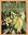 Eucalypts of the Goldfields of Western Australia. 2025. ca 1200 col. figs. 368 p. gr8vo.