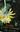 Flora of County Monaghan. 2024. illus. (col.). 566 p. 4to. Hardcover.