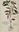 The New Herbal of 1543. New Kreüterbuch. 2001. illus. 960 p. Flexible cover.