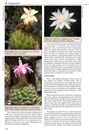 Réconquérir la biodiversité végétale du Sud-Ouest de l'océan Indien. 2026.  illus. 263 p. gr8vo. Paper bd.- In French.