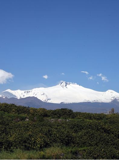 The Vegetation of Etna. 2026. 61 col. figs. 171 tabs. 451 p. gr8vo. Hardcover.(ISBN 978-3-946583-57-8)