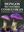 Hongos Silvestres Comestibles de los Bosques Andino-Patagonicos. 2024. 150 col. photogr. 192 p. gr8vo. Paper bd. - In Spanish.