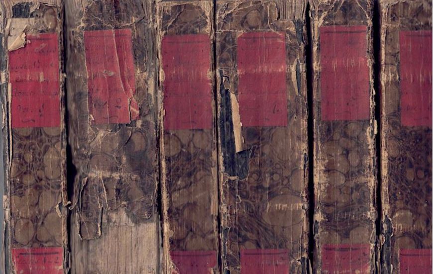 Caroli a Linné Equitis Systema Vegetabilium Secundum Classes Ordines Genera Species cum Characteribus. Differentiis et Synonymiis. Editio Nova, Speciebus inde ab Expeditione XV. Detectis Aucta et Locupletata. 6 volumes. 1817 - 1820.(Stuttgardtiae, Sumptibus J. G. Cottae). gr8vo. Contemporary paper covers.