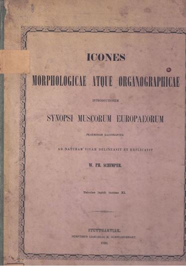 Icones Morphologicae atque Organographicae Introductionem Synopsi Muscorum Europaearum Praemissam Illustrantes. Ad Naturam Vivam Delineavit et Exlicavit... 1860. 11 lithogr. plates. 26 p. explanations. Hardcover. Folio.
