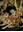 Malawi Orchids.Volume 1:Epiphytic Orchids. 1983.100 illustr.152 p.gr8vo.Bound.