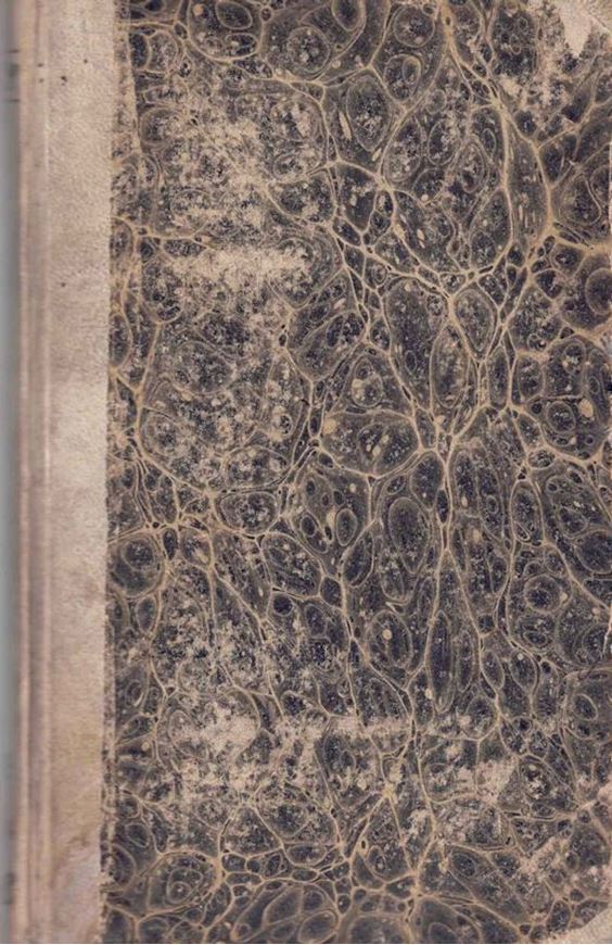 Scientific Publications of Charles Wilkins Short. Edited with an introduction by Ronald L.Stuckey. 1978. approx. 200 p. without pagination.