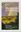  Biodiversity in Drylands. 2005. illus. 366 p. gr8vo. Hardcover. 