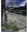 Flore de Lausanne. Vol. 2: Composition de la flore et répartition des espèces. 2006. Many distrib. maps. 228 p. gr8vo. Paper bd.
