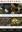  Macrofungi Associated with Oaks of Eastern North America. 2008. illus. XVI, 467 p. gr8vo. Paper bd. 