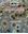 Indian Lichens: An annotated checklist. 2010. 50 col. pls. 571 p. 4to. Hardcover.