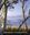 Eucalypts: A Celebration. 2012. illus. 352 p. gr8vo. Paper bd.