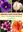 Medicinal Plants in Australia. Vol. 4: Antipodan Apothecary. 2013. ca. 1000 col. photographs. 552 p. gr8vo. Hardcover.