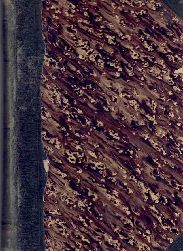 Synopsis Muscorum Europaeorum. 2 vols. bound in1 volume. 2nd rev. ed. 1876. 7 pls. CXXX, 886 p. gr8vo. Halfleather.