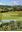 Botanical Excursions in Moravia. Field Guide for the 58th IAVS Symposium. 2015. illus. 228 p. Paper bd.