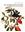 Le voyage des plantes & les Grandes Découvertes. 2015. (Collection Magellane: Essais). illus. 384 p. Hardcover.