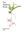 The Paphinia Book. 2018. Many col. figs. 220 p. gr8vo. Hardcover.