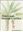 Plants and Human Conflict. 2018. illus. 189 p. gr8vo. Hardcover.