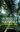 Forests of Karnataka (India). A Panoramic View. 2019. 304 p. Paper bd.