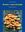 Gli Odori dei Funghi (Flavours of Mushrooms). 2019.illus. (col.). 380 p. 4to.