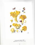 Portraits of Mushrooms. 2026. illus. 52 p. Paper bd.