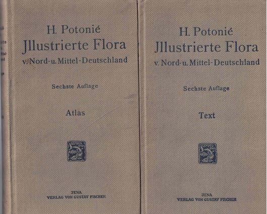 Illustrierte Flora von Nord- und Mitteldeutschland. 6te Auflage. 2 Bände (Text & Atlas). 562, 390 S. 8vo. Leinen.
