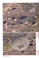 Matucana in Habitat and Culture. 2026. 482 colour photographs. 37 maps. 240 p. 4to. Hardcover.