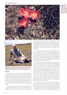 Matucana in Habitat and Culture. 2026. 482 colour photographs. 37 maps. 240 p. 4to. Hardcover.