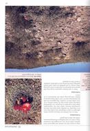 Matucana in Habitat and Culture. 2026. 482 colour photographs. 37 maps. 240 p. 4to. Hardcover.