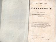 Grundzüge der Phytologie  zum Gebrauche seines Öffentlichen Vortrages Entworfen. Wien 1831. XXIV, 702 S. gr8vo. Pappband.