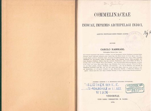 Commelinaceae Indicae, Imprimis Archepelagi Indici, adjectis nonnullis hisce terris aliensis. 1870. 180, IV S. gr8vo: Hardcover.