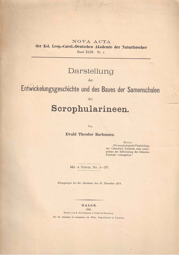 Darstellung der Entwicklungsgeschichte  und des Baues der Samenschalen der Scrophularineen. 1881. (Nova Acta..Leopoldina, XLIII:1). 4 Tafeln. 177 S. Folio. Brroschiert.