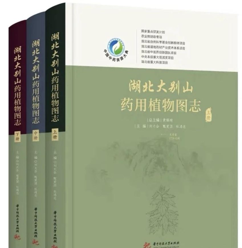 Illustrated Guide to Medicinal Plants in the Dabie Mountains of Hubei Province. 3 volumes. 2026. illus. (col.). 1810 p. gr8vo. Hardcover. - Chinese, with Latin nomenclature.