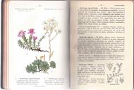 Nouvelle Flore de Poche des Alpes et des Pyrénées. 2 volumes. 1906-1908. 284 pl. en couleurs. XVIII, 342 p. 8vo. Hardcover.