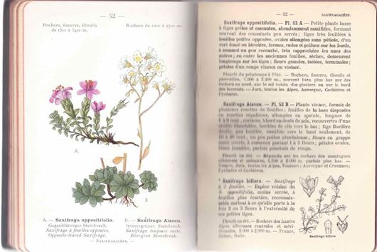 Nouvelle Flore de Poche des Alpes et des Pyrénées. 2 volumes. 1906-1908. 284 pl. en couleurs. XVIII, 342 p. 8vo. Hardcover.