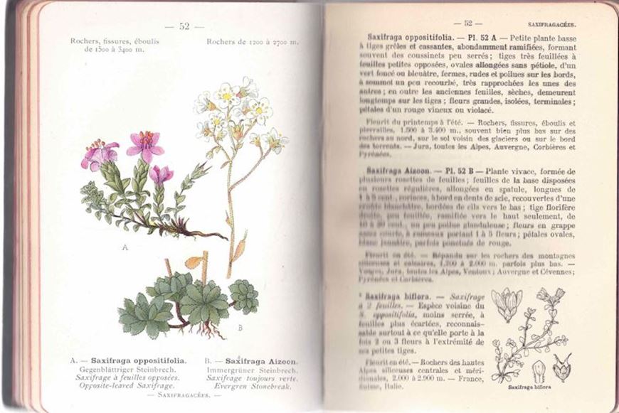 Nouvelle Flore de Poche des Alpes et des Pyrénées. 2 volumes. 1906-1908. 284 pl. en couleurs. XVIII, 342 p. 8vo. Hardcover.